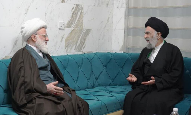 آية الله اليعقوبي والمدرسي يؤكدان على دور أتباع أهل البيت (ع) في الحياة العامة