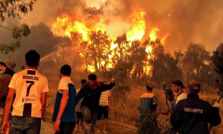 حرائق الجزائر: إجلاء السكان والسيطرة على معظم النيران في منطقة القبائل