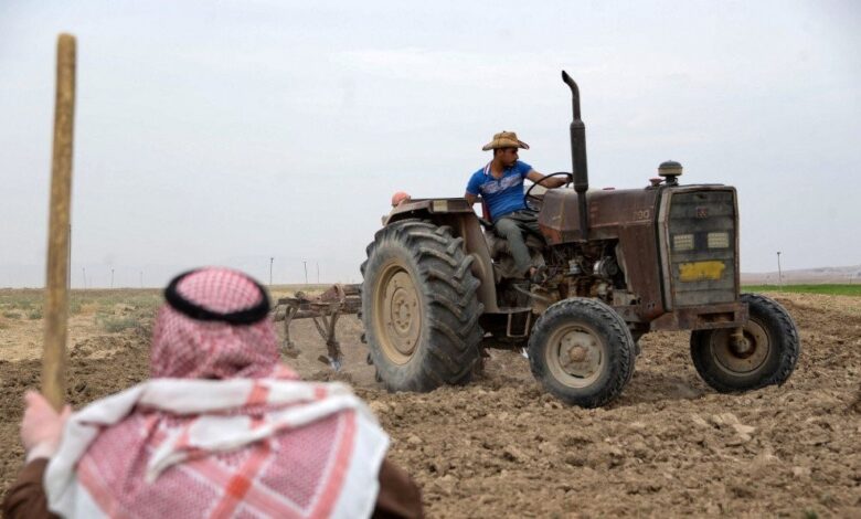 برنامج وطني لإكثار النباتات الطبية والعطرية ينطلق في عدة محافظات عراقية