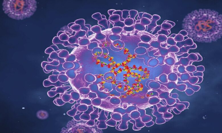 رقم قياسي لإصابات جدري القردة في إسبانيا: أكثر من 8100 حالة