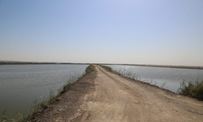 جهود مشتركة لحماية محمية بحر النجف وتعزيز التنمية البيئية