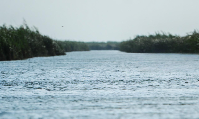 حملة وطنية لترشيد استهلاك المياه في العراق: تعاون حكومي وشعبي