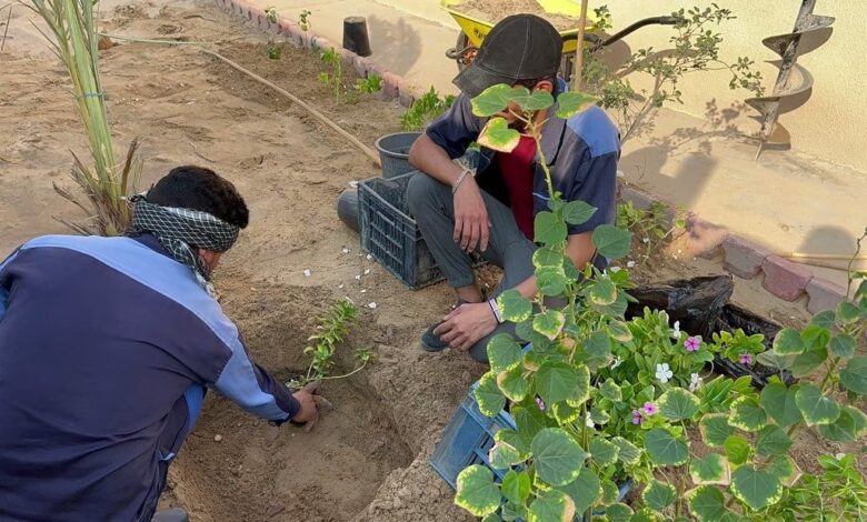 الديوانية تطلق حملة تشجير لتعزيز التنمية المستدامة وتحسين البيئة
