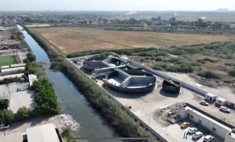 بغداد تستثمر في المستقبل الأخضر: مشروع ضخم لزراعة الأشجار