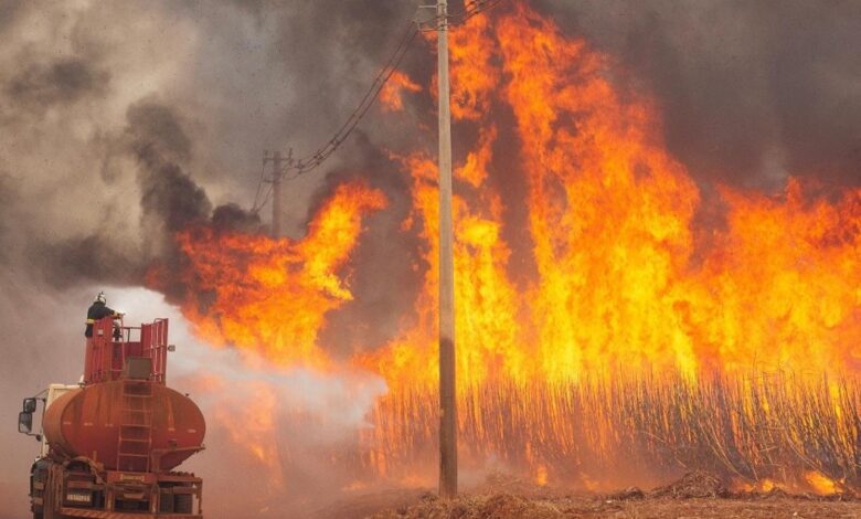 البرازيل تعلن حالة طوارئ لمواجهة حرائق الغابات والجريمة في ساو باولو