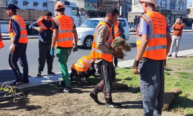 70 ألف شجرة تُزيّن كربلاء: مبادرة بيئية واسعة النطاق