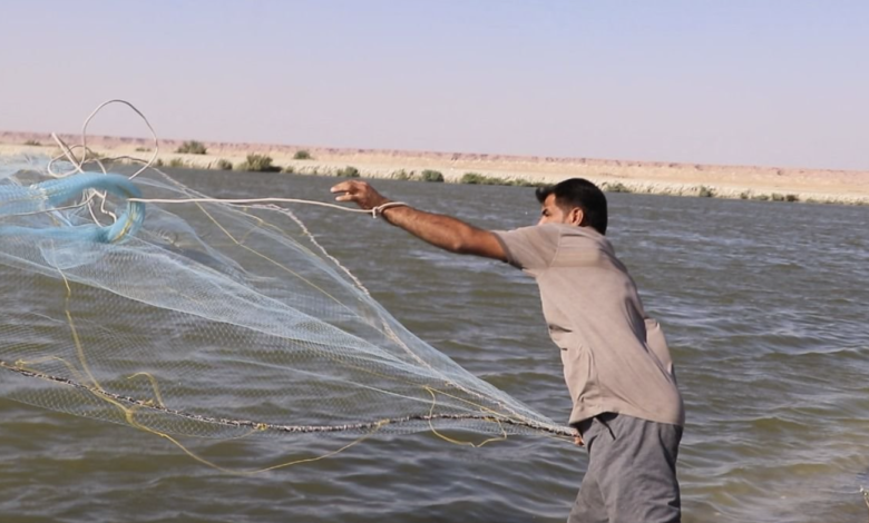 مجلس النجف يرفض تحويل بحر النجف إلى صحراء ويدعو لإيجاد بديل للمحمية الطبيعية