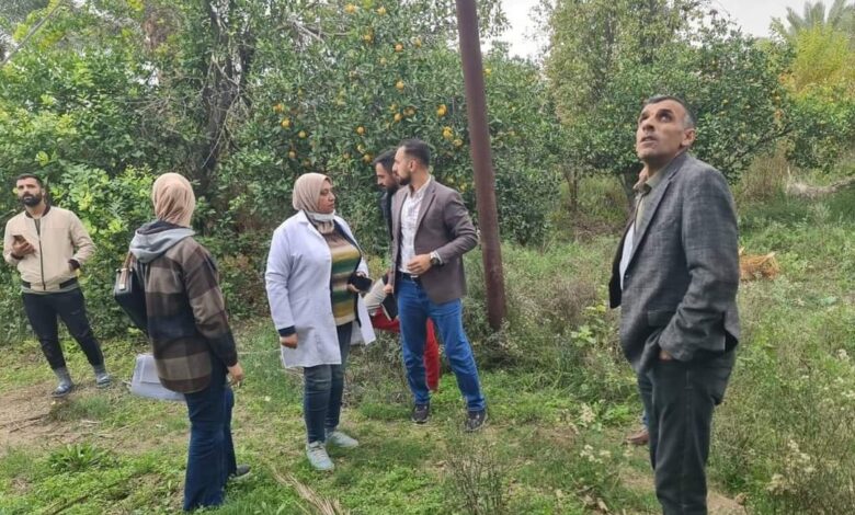انطلاق حملة مجانية لمكافحة أمراض النخيل في صلاح الدين
