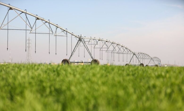 الزراعة تستعد لإطلاق صندوق الإقراض لدعم المشاريع الزراعية الصغيرة