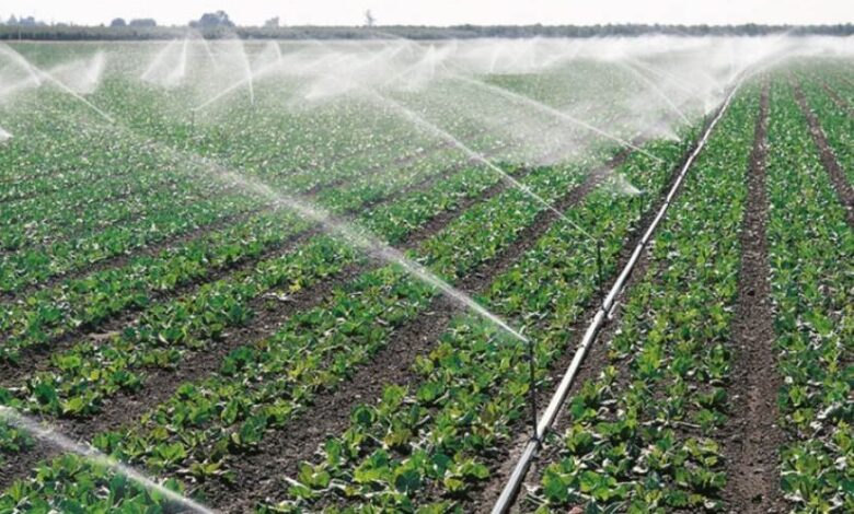 ثورة ري حديثة تُحدث نقلة نوعية في الزراعة العراقية