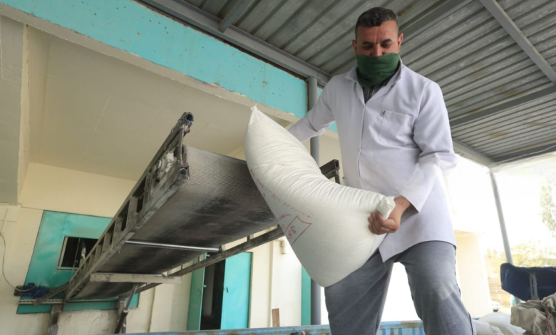 وزارة التجارة العراقية تؤكد جودة الطحين المحلي وخلوه من المواد الكيميائية