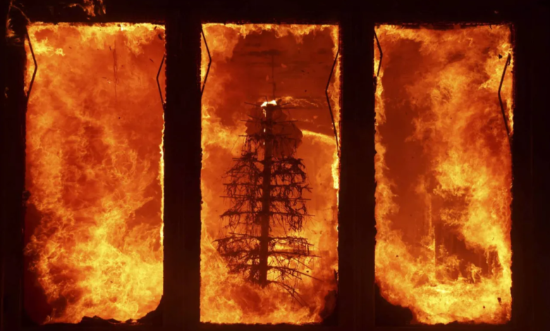 إخلاء سكان وسط هوليوود بسبب حريق يهدد الحياة