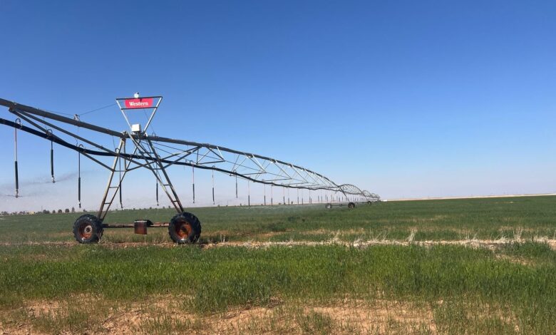 مشروع الحزام الأخضر بالنخيب: حلول عملية لمكافحة التصحر