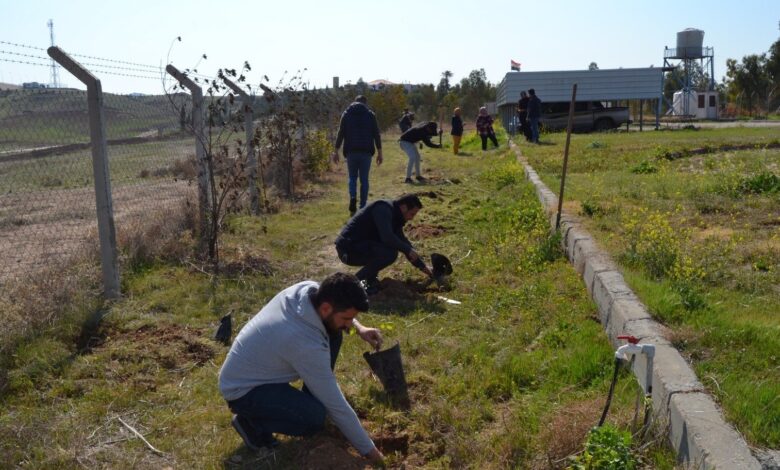 مشروع مكافحة الكثبان الرملية ينطلق في ثلاث محافظات عراقية بدعم مائي كامل