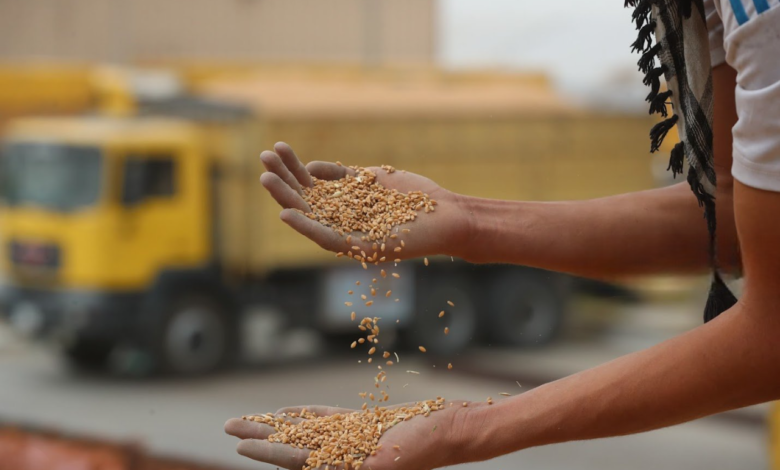 العراق يحقق اكتفاء ذاتي من الحنطة ويصدر 13 محصولًا زراعيًا للأسواق العالمية