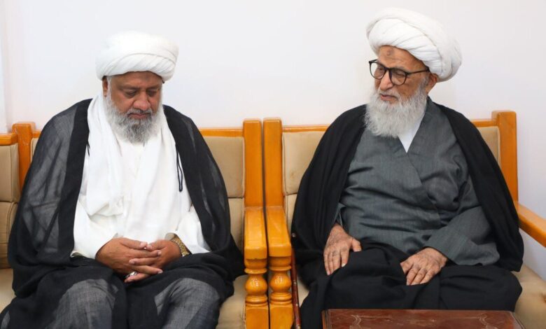 المرجع النجفي يشيد بالجهود التعليمية للقيادات الشيعية الباكستانية خلال لقاء رسمي