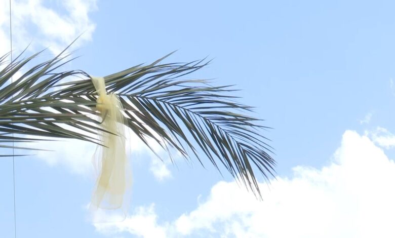 مسيرات سعف النخيل تملأ شوارع الحمدانية العراقية احتفالاً بأحد الشعانين