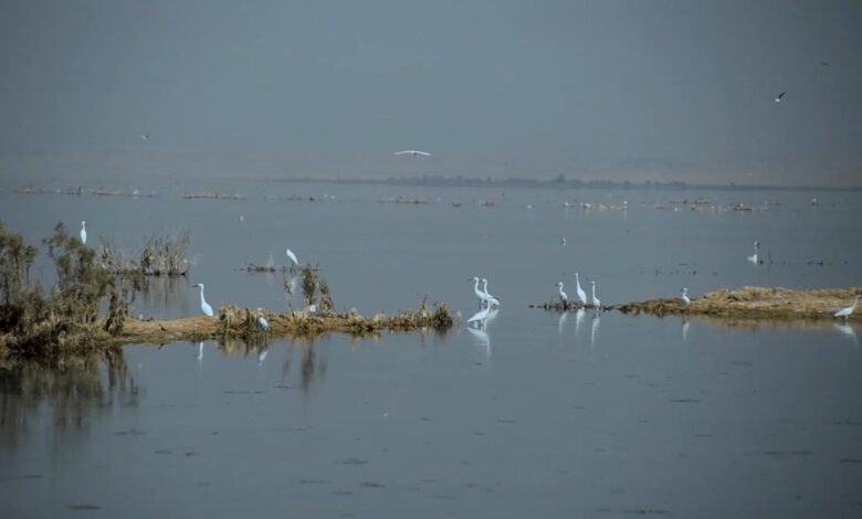 بحر النجف يتحول إلى وجهة سياحية عالمية بمشروع طموح ينطلق 2025