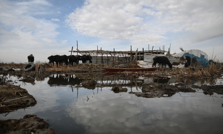 وزارة الموارد تحذر من سلوكيات خطيرة تهدد سلامة المياه العراقية