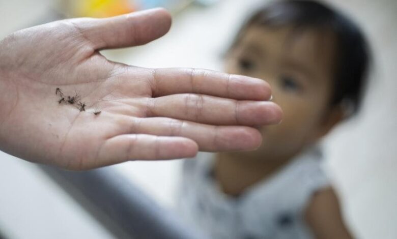 زيمبابوي تواجه انتكاسة صحية: 334 وفاة و119 ألف إصابة بالملاريا