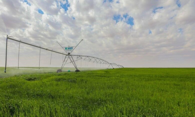 العراق يحقق الاكتفاء الذاتي من القمح للعام الثالث بفضل تقنيات الري الحديثة