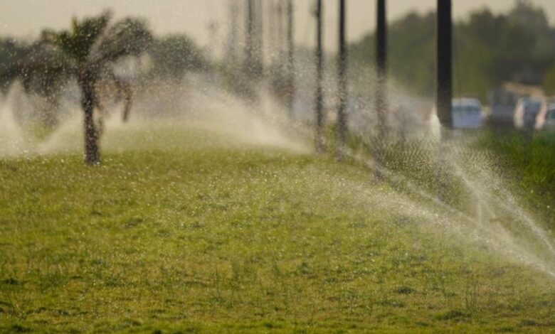 العراق يحقق ثورة زراعية جديدة بتوفير 60% من المياه ومضاعفة إنتاج الحنطة