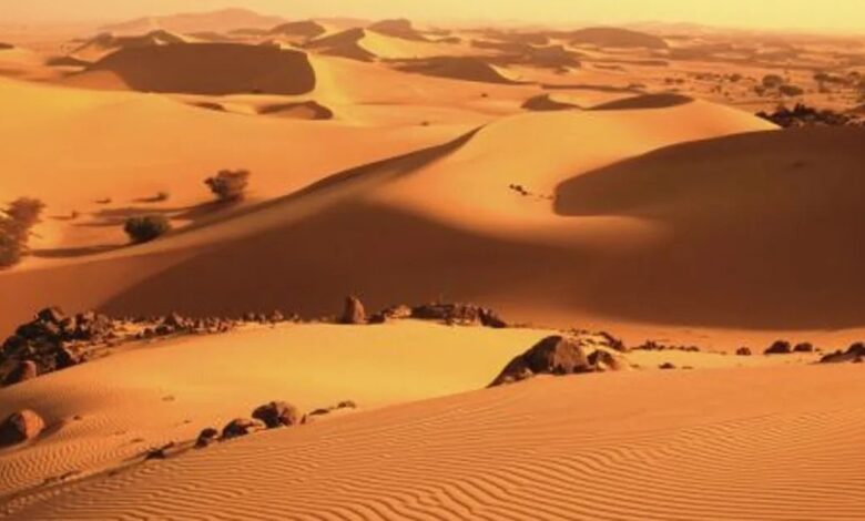 مأساة إنسانية في صحراء النيجر: مصرع 35 مهاجراً في رحلة البحث عن الأمل