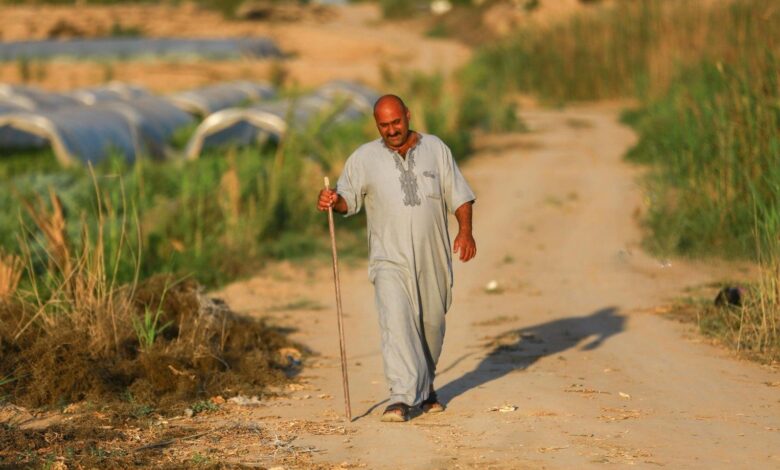 وزارة الزراعة تحصل على تمويل دولي بـ39 مليون دولار لمواجهة ندرة المياه