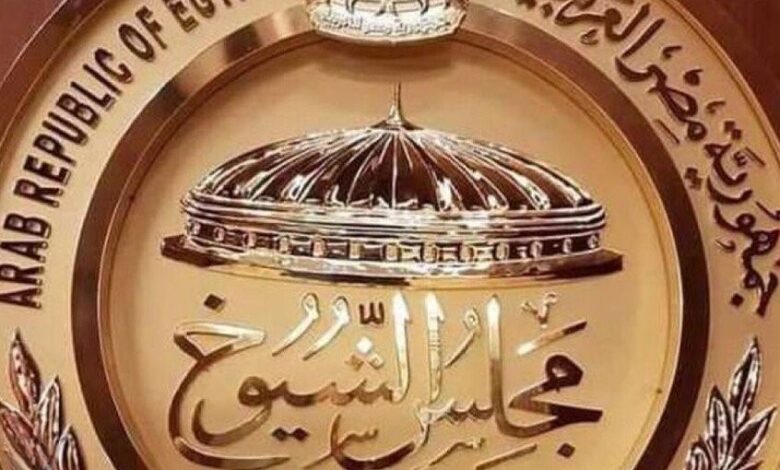 بدء انتخابات مجلس الشيوخ المصري للمغتربين في الخارج 2025