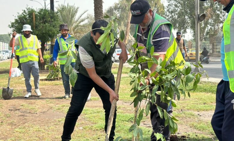 أمانة بغداد تستعد لأكبر حملة تشجير وتكشف إنجاز 95% من الحزام الأخضر