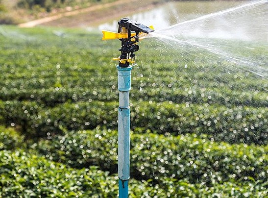 وزارة الزراعة تطلق مشاريع جديدة لمكافحة التصحر وتطوير أنظمة الري