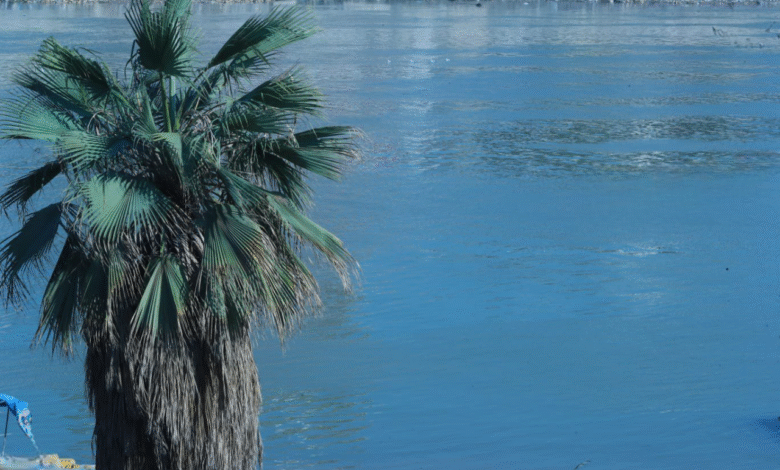 وزارة الموارد تبدأ تنفيذ 36 سد حصاد مياه في سبع محافظات عراقية