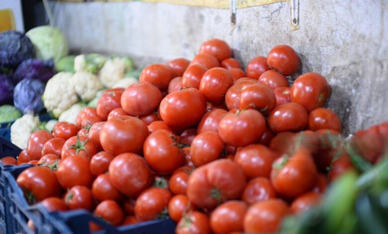 العراق يحقق الاكتفاء الذاتي بإيقاف استيراد 40 منتجاً زراعياً وتوسيع صادرات التمور