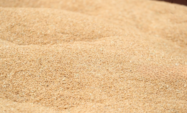 وزارة التجارة تدحض شائعات الحنطة المسمومة وتؤكد سلامة المخزون العراقي