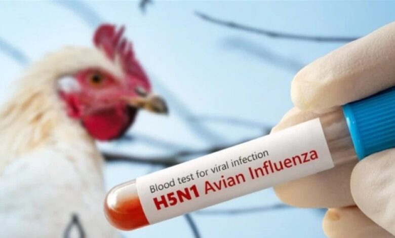 أول حالة وفاة في أمريكا بسبب سلالة H5N5 النادرة من إنفلونزا الطيور