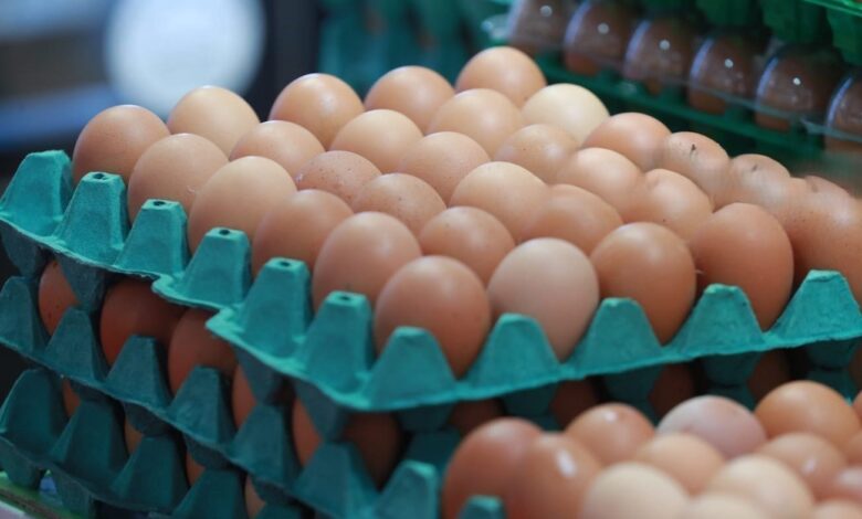 العراق يحقق الاكتفاء الذاتي من البيض مع 8 آلاف مشروع للدواجن