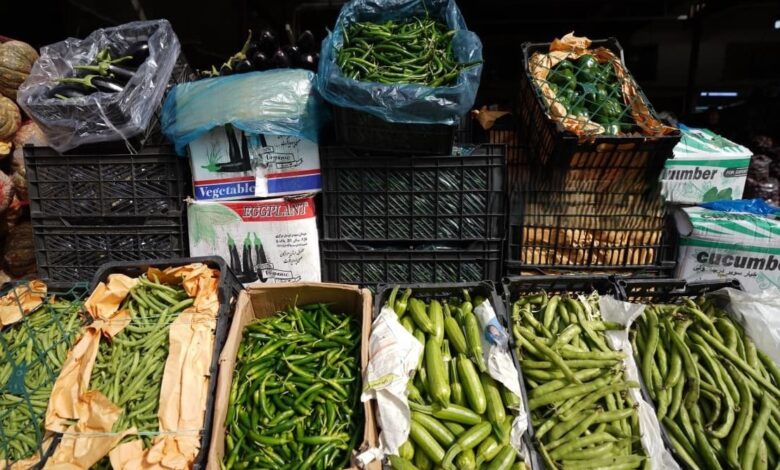 الاكتفاء الذاتي الزراعي يشمل 48 منتجاً عراقياً ومنع استيرادها من الخارج