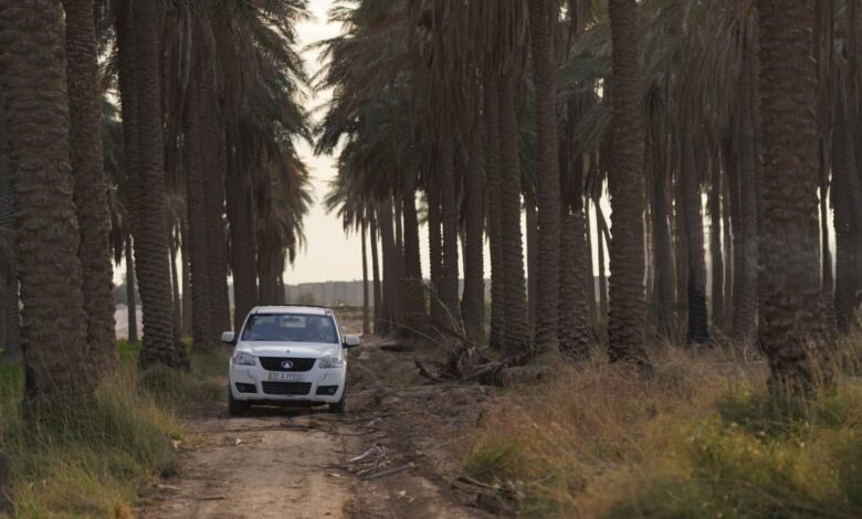 خدمات المياه في بغداد تشمل المناطق الزراعية مع خطط تركيب العدادات النظامية