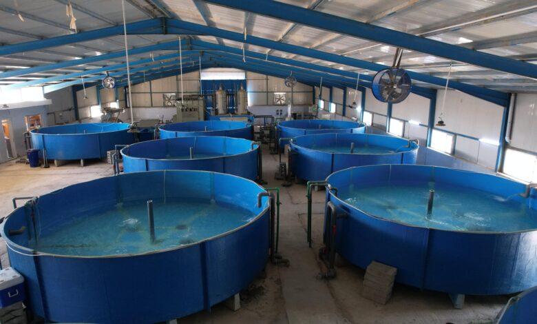 الموارد المائية تفرض عقوبات قانونية على مربي الأسماك المخالفين لمكافحة الجفاف