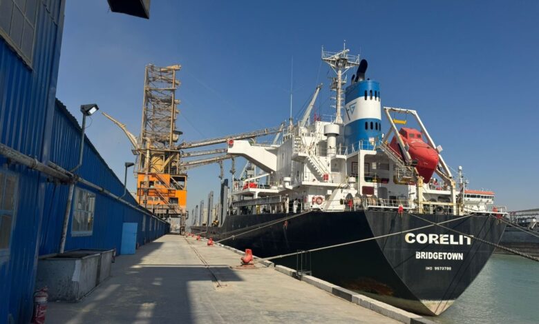 إعادة تشغيل سايلو أم قصر بعد توقف 10 سنوات.. إنجاز اقتصادي مهم