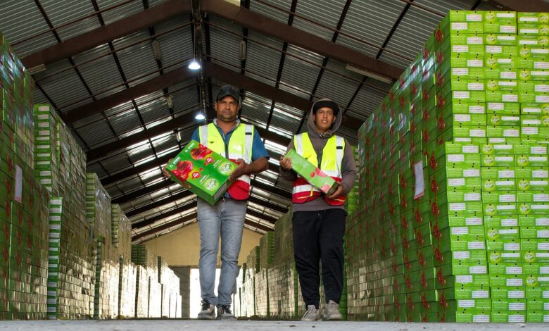 وزارة التجارة تؤكد نجاح التعرفة الجمركية في تعزيز تنافسية المنتج الوطني العراقي