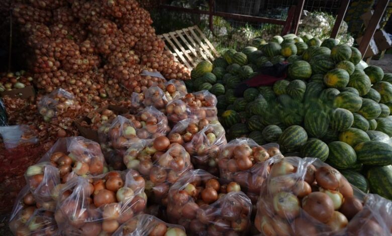 العراق يحقق الاكتفاء الذاتي الزراعي ويصدر فائض المحاصيل للخارج