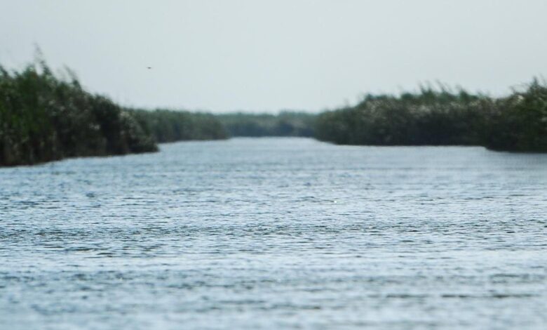 وزارة الموارد المائية تكشف خطط إدارة وفرة المياه بعد موجة الأمطار الأخيرة