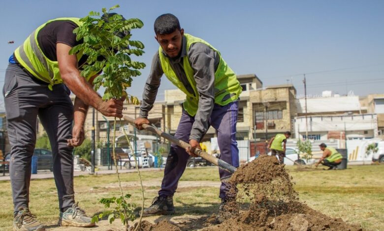 أمانة بغداد تكشف خطتها الربيعية لزراعة 4 ملايين زهرة و300 ألف شجرة