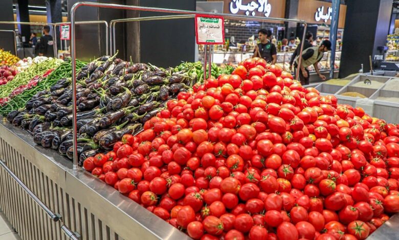 العراق يطلق خطة شاملة لتوسيع إنتاج الطماطم المحلي على مدار العام