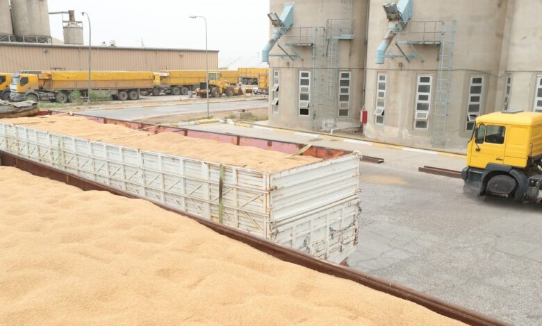 وزارة التجارة تضمن الأمن الغذائي بخزين حنطة لعام كامل وتفتتح منافذ هايبر ماركت تنافسية