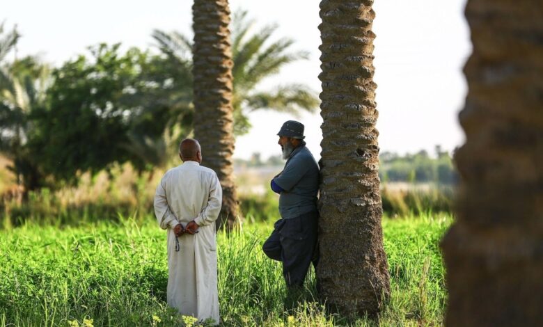 العراق يقر رواتب تقاعدية للمتفرغين الزراعيين غير المعينين وفق القانون الجديد