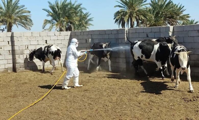 نقيب الأطباء البيطريين يطالب رئيس الوزراء بتعيين 5 آلاف طبيب وتنفيذ قانون التدرج الطبي