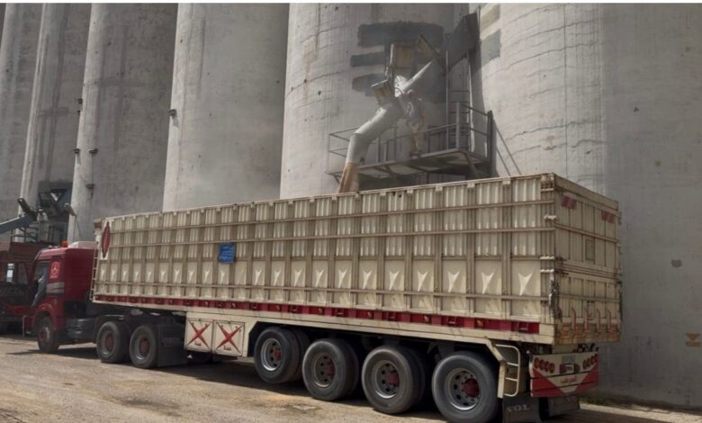 البصرة تبدأ الموسم التسويقي للحنطة بخطة استلام 34 ألف طن