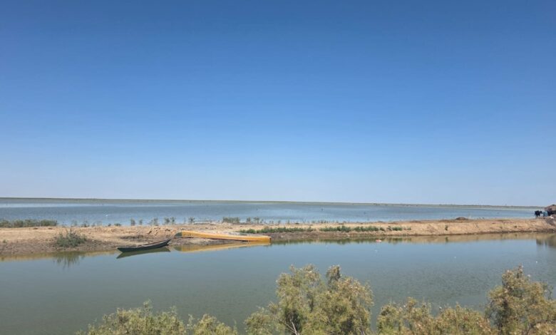 موجة الأمطار تحيي الأهوار العراقية وتعزز الخزين المائي